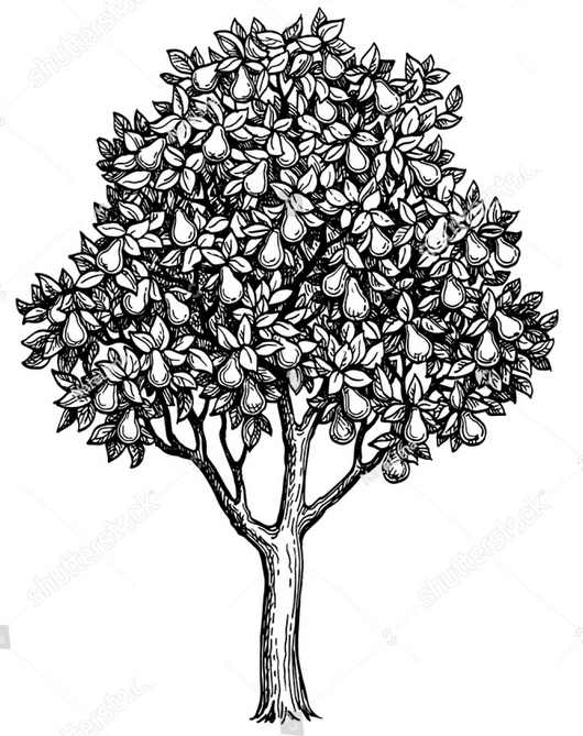 la pépinière paysanne